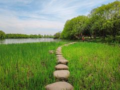-野蔓果·山野菜(西湖景区·龙井茶田店)