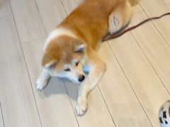 -YCHL Studios健身工作室(市二宫店)