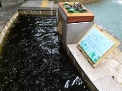 -嘉和K6温泉微度假