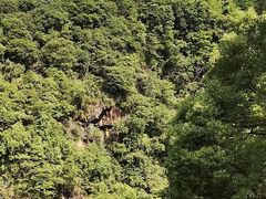 -石台牯牛降景区