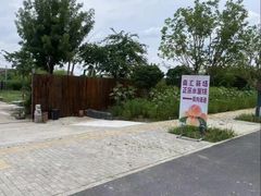 -南汇新场正宗水蜜桃采摘