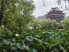 -长兴太湖图影湿地文化园