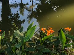 -人民公园(罗湖区)