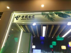 -中国电信(泰兴路店)