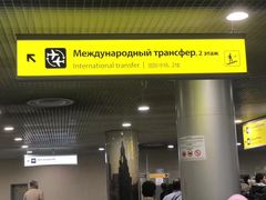 -谢列梅捷沃国际机场