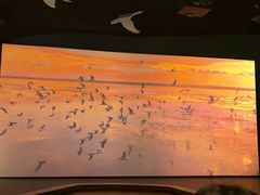 -中国湿地博物馆
