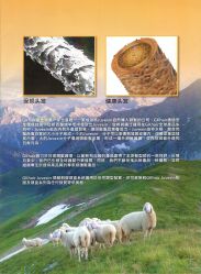 -FRIDAY星期五专业美发沙龙