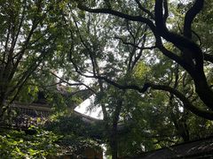 -西园戒幢律寺