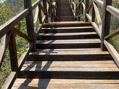 -大岭沟猕猴桃谷风景区