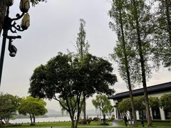 -杭州西湖柳莺里酒店·闻莺厅