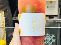 -树夏(建设路店)