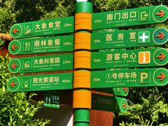 -野象谷景区