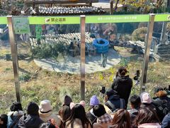 -大连森林动物园