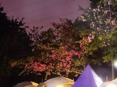 -长洲岛