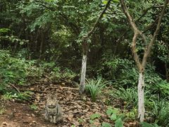 -杭州半山国家森林公园