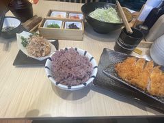 -胜博殿日式炸猪排(西红门店)