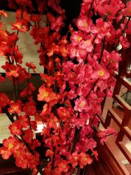 点击看大图 -苗医生草本科技祛痘
