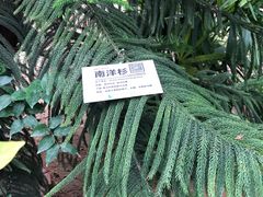 -呀路古热带植物园