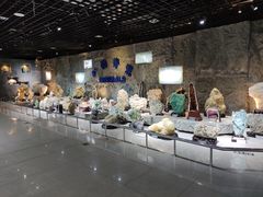 -中国地质大学逸夫博物馆