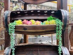 -漫渡庄绿岛花园•隐世庭园菜(滨湖店)