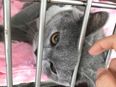 -美美宠物诊疗中心·异宠·骨科(滨江东信分院)