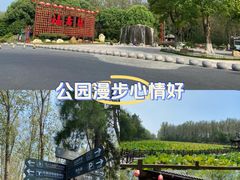 -合肥滨湖国家森林公园