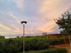 -大兴滨河森林公园