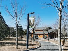 -东郊湿地公园