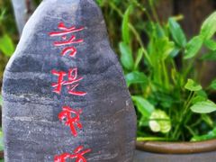 -菩提书坊(侨福大厦店)