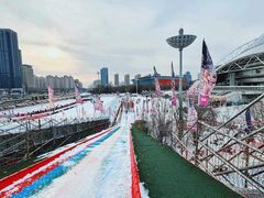 -沈阳奥体冰雪嘉年华