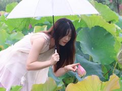 -陶辛水韵