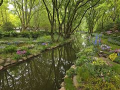 -上海共青森林公园