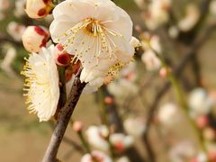 -蜀冈西峰生态公园