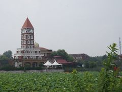-日照海滨国家森林公园