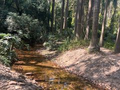 -滴水岩森林公园