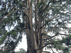 -终南山南五台景区