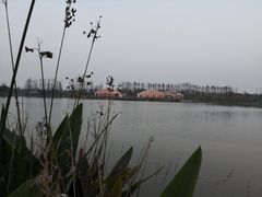 -上海长兴岛郊野公园