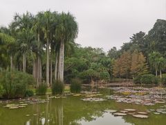 -中国科学院西双版纳热带植物园