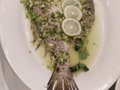 -稻香酒家·35年老字号(侨光店)