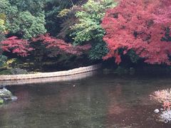 -水前寺成趣园