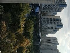 -糕潮(森兰店)