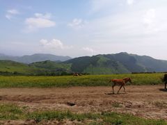 -北京灵山风景区