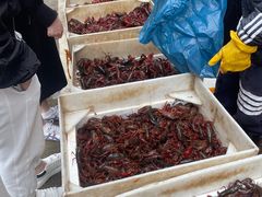-马王堆海鲜水产市场