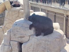 -石家庄市动物园