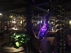 -胡桃里音乐酒馆(环亚凯瑟琳广场店)