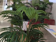 -哈根达斯(SM店)