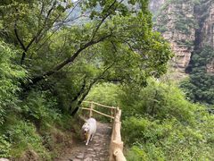 -孤山寨风景区