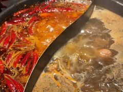 -蜀大侠火锅(总府路店)