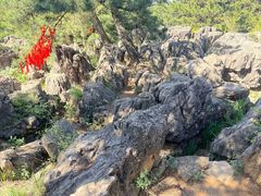 -王莽岭风景区