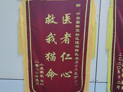 -中农国际动物医院24小时·猫科·骨科·急重症中心